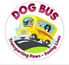 Dog Bus Rescue